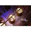 Philips Hue White 2er Set LED E14 5,7 Watt 2700 Kelvin 470 Lumen