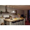 Philips Hue White LED E27 15,5 Watt 2700 Kelvin 1600 Lumen