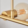 Talmage Pendelleuchte Messing, 5-flammig