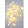 Globo VENUTO Lichterkette LED Silber, 100-flammig