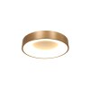 Steinhauer Ringlede Deckenleuchte Gold, 1-flammig