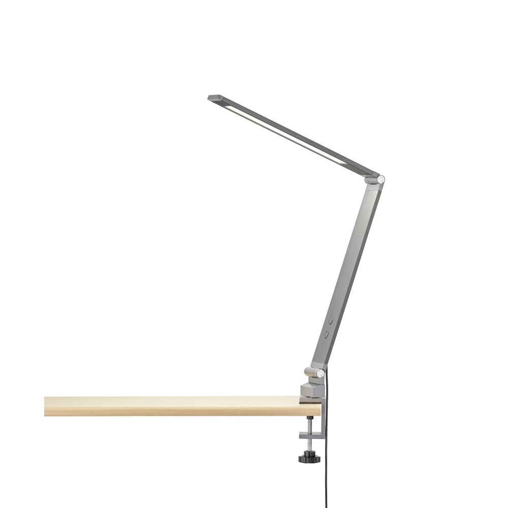 Fischer & Honsel Geri Klemmleuchte LED Anthrazit, 1-flammig