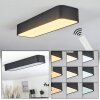 Iriondo Deckenleuchte LED Schwarz, 1-flammig, Fernbedienung