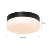 Steinhauer Ikaro Deckenleuchte LED Schwarz, 1-flammig