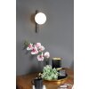 Luce Design PLUTO Wandleuchte Schwarz, 1-flammig