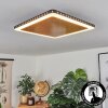 Guacacallo Deckenpanel LED Gold, Schwarz, Weiß, 1-flammig