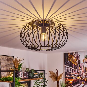 Trapichera Deckenleuchte Schwarz, 1-flammig