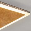 Guacacallo Deckenpanel LED Gold, Schwarz, Weiß, 1-flammig