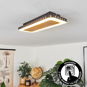 Guacacallo Deckenpanel LED Gold, Schwarz, Weiß, 1-flammig