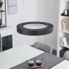 Playas Pendelleuchte LED Schwarz, 1-flammig