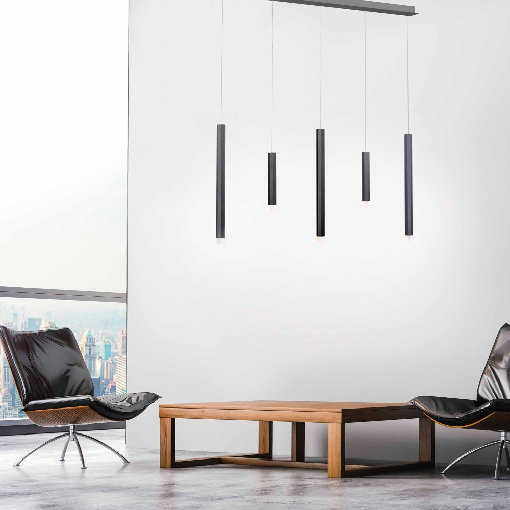 Paul Neuhaus PURE-GEMIN Pendelleuchte LED Aluminium, Schwarz, 5-flammig main product photo