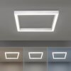 Paul Neuhaus PURE-LINES Deckenleuchte LED Aluminium, 1-flammig, Fernbedienung