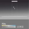 Paul Neuhaus PURE-LITE Pendelleuchte LED Edelstahl, 1-flammig