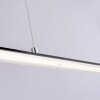 Paul Neuhaus PURE-LITE Pendelleuchte LED Anthrazit, 1-flammig