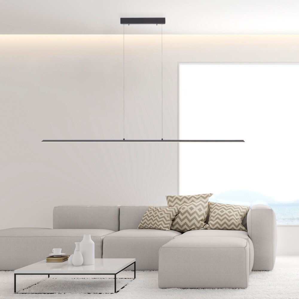 Paul Neuhaus PURE-LITE Pendelleuchte LED Anthrazit, 1-flammig main product photo