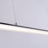 Paul Neuhaus PURE-LITE Pendelleuchte LED Anthrazit, 1-flammig