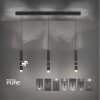 Paul Neuhaus PURE-VEGA Pendelleuchte LED Schwarz, 9-flammig