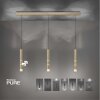 Paul Neuhaus PURE-VEGA Pendelleuchte LED Messing, 9-flammig