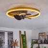 Oleiro Deckenventilator LED Gold, Schwarz, Weiß, 1-flammig, Fernbedienung