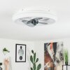 Tirkkala Deckenventilator LED, 1-flammig