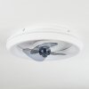 Tirkkala Deckenventilator LED, 1-flammig