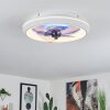 Tirkkala Deckenventilator LED Weiß, 1-flammig