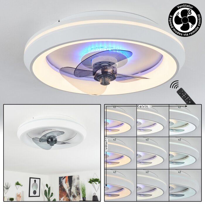 Tirkkala Deckenventilator LED, 1-flammig Tirkkala Deckenventilator LED, 1-flammig