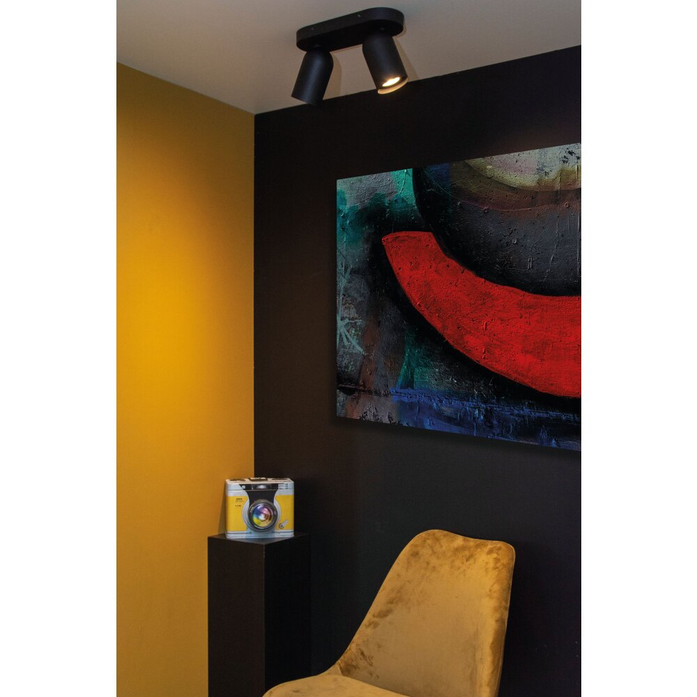 Lucide PUNCH Deckenleuchte Schwarz, 2-flammig main product photo