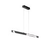 Fischer & Honsel Bridge Pendelleuchte LED Schwarz, 1-flammig