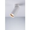 Luce Design GENESIS-R6 Deckenleuchte, 1-flammig