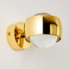 Sapri Wandleuchte Gold, 1-flammig