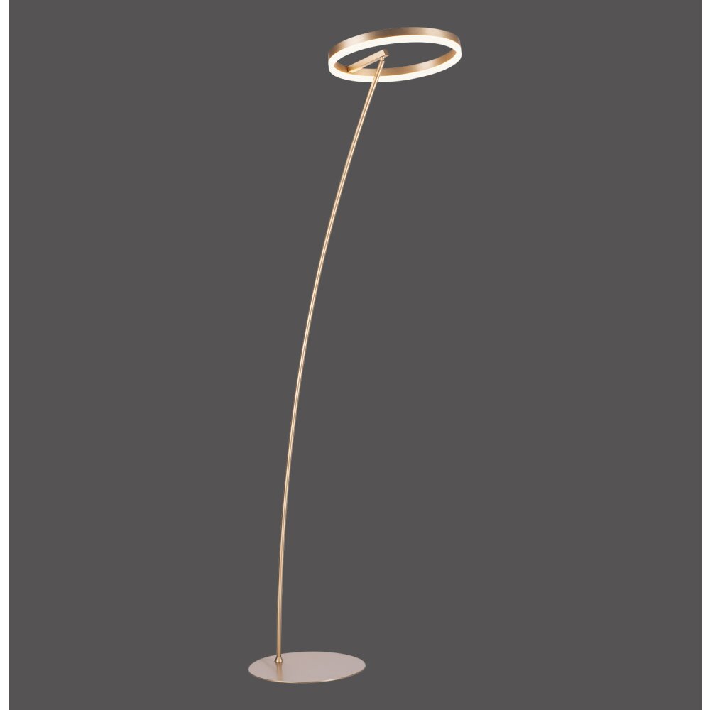 Paul Neuhaus TITUS Stehleuchte LED Messing, 1-flammig