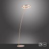 Paul Neuhaus TITUS Stehleuchte LED Messing, 1-flammig