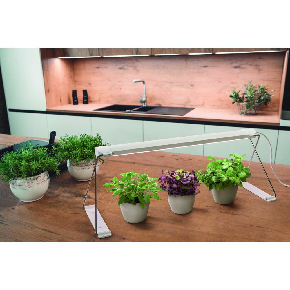 LEDVANCE Indoor Garden Tischleuchte Weiß, 1-flammig main product photo