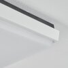 Gomero Außendeckenleuchte LED Anthrazit, Weiß, 1-flammig