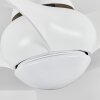 Malloa Deckenventilator LED Weiß, 1-flammig, Fernbedienung