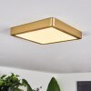 Finsrud Deckenpanel LED Gold, 1-flammig