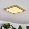 Finsrud Deckenpanel LED Gold, 1-flammig