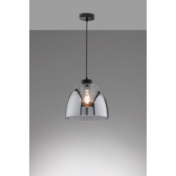 Fischer & Honsel Ren Pendelleuchte Schwarz, 1-flammig Fischer & Honsel Ren Pendelleuchte Schwarz, 1-flammig