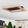 Charentay Deckenleuchte LED Schwarz, 1-flammig