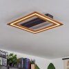 Charentay Deckenleuchte LED Schwarz, 1-flammig