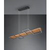 Trio Harper Pendelleuchte LED Schwarz, 1-flammig