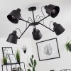 Gaudent Deckenleuchte Schwarz, 5-flammig Gaudent Deckenleuchte Schwarz, 5-flammig