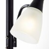 Brilliant Lucy Stehlampe LED Schwarz, 2-flammig