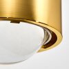 Sapri Wandleuchte Gold, 1-flammig