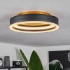 Guine Deckenleuchte LED Gold, Schwarz, 1-flammig