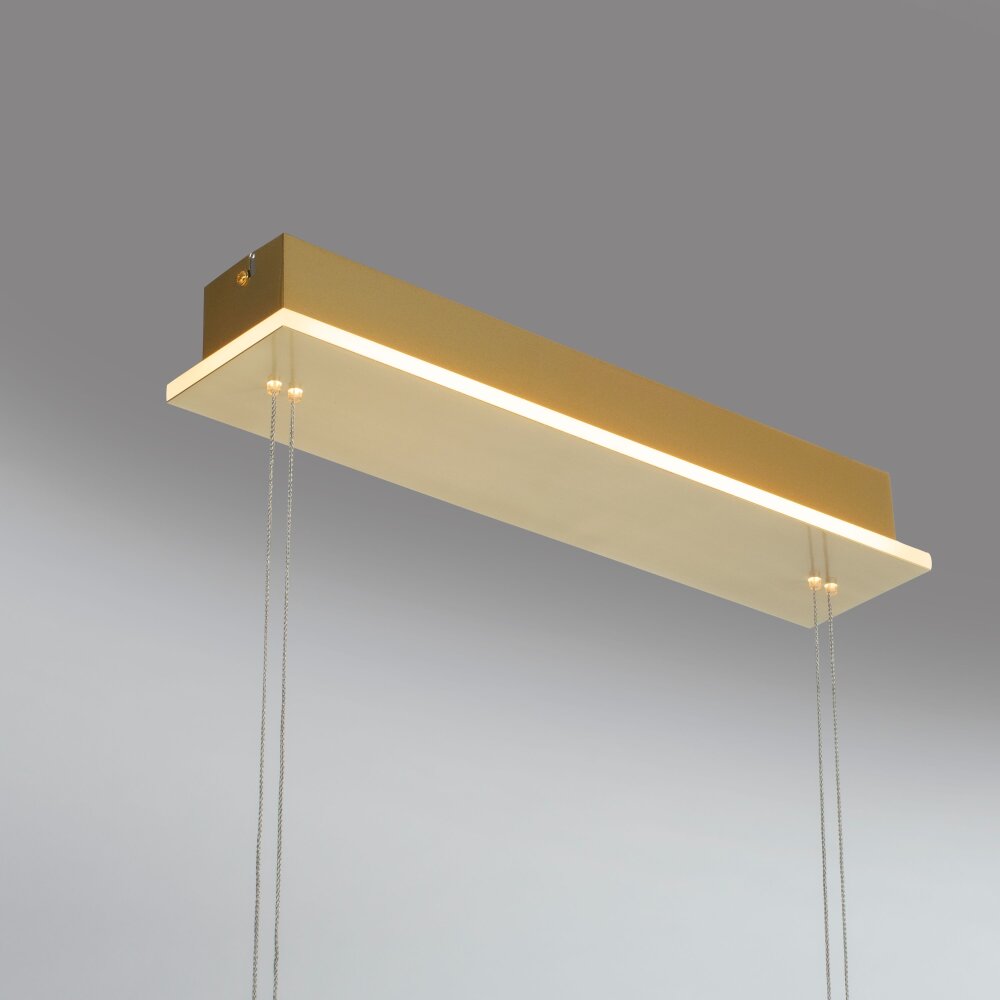 Paul Neuhaus Q-ETIENNE Pendelleuchte LED Messing, 4-flammig, Fernbedienung