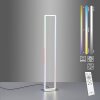 Leuchten Direkt FELIX60 Stehleuchte LED Stahl gebürstet, 2-flammig, Fernbedienung, Farbwechsler