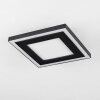 Audrieu Deckenpanel LED Schwarz, 2-flammig