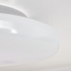 Ral Deckenleuchte LED Silber, Weiß, 1-flammig, Fernbedienung, Farbwechsler